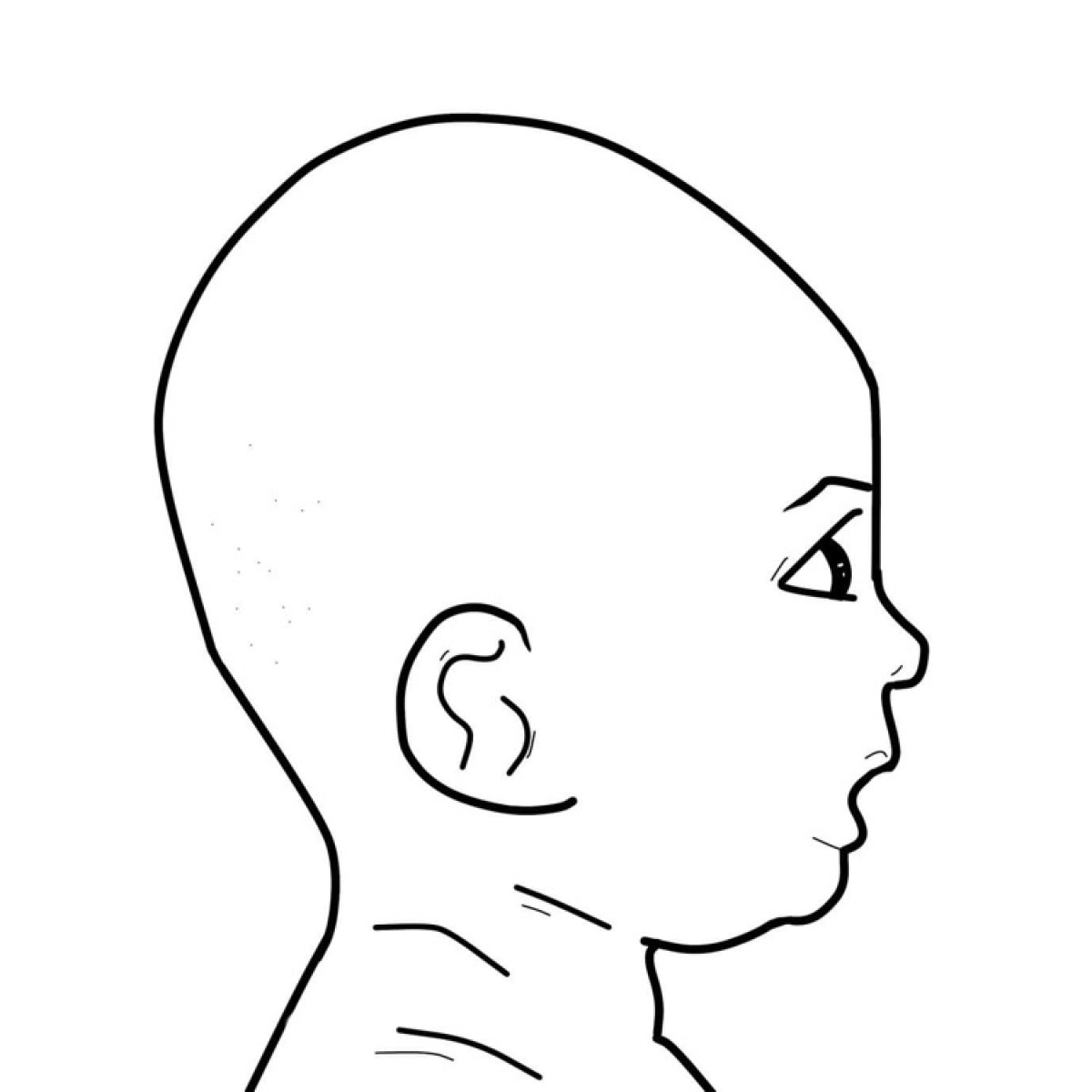 Forma de la cabeza en Turicephalia